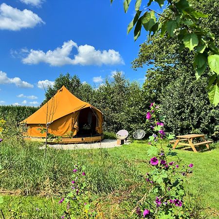 Bell Tent In Een Voedselbos Nederweert-Eind 外观 照片