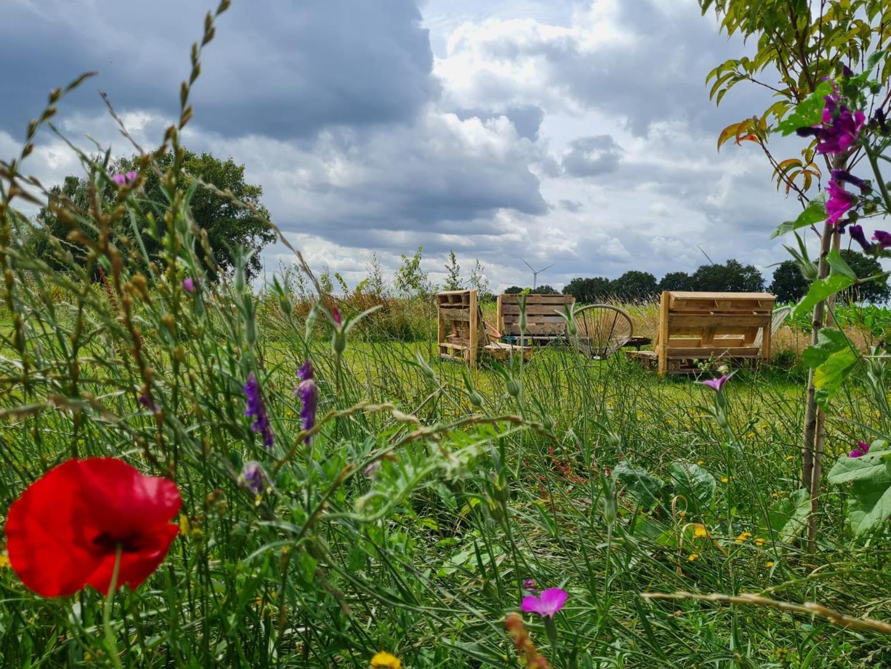 Bell Tent In Een Voedselbos Nederweert-Eind 外观 照片